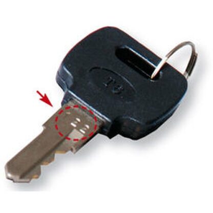 PROJAHN Schlüssel Nr. 015 zu Werkstattwagen (1 Stück)